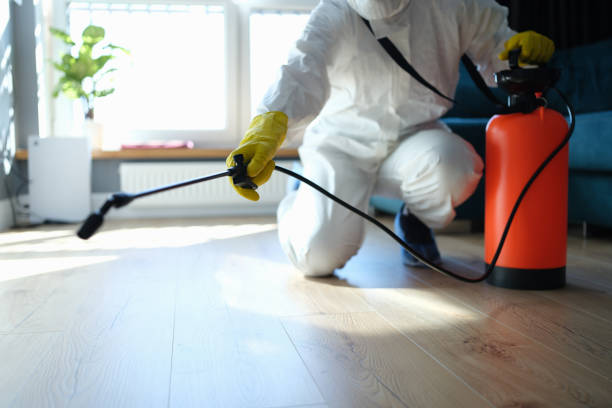 Reliable Odor Removal contractor in Twin Bridges, CA by Trauma Clean Pros